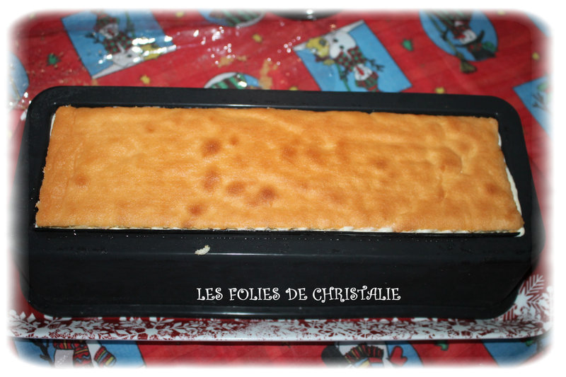Bûche exotique 10