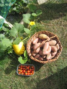 potager_015