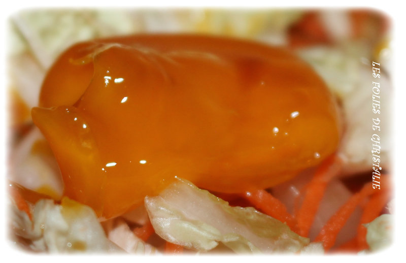 Oeuf à l'asiatique 6