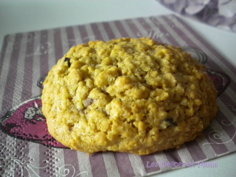 Cookies aux flocons d’avoine aux 2 chocolats 6