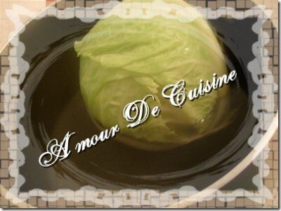 Choux farcis a la viande hachée recettes legumes Petits Choux Farcis au Thon