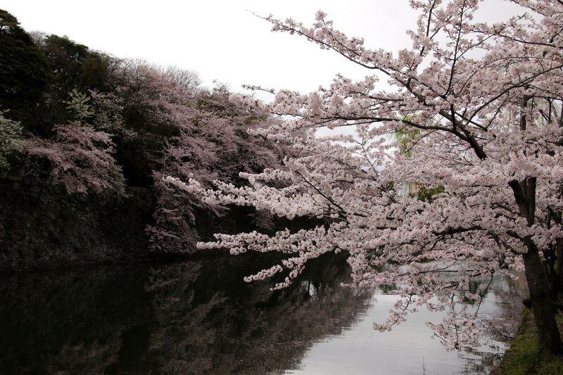 4W7A6021cor