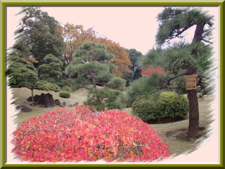 jardin shiba rykiu 027