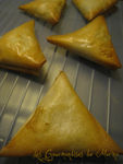 photos_samosa_boeuf_legumes2