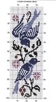 Couples_oiseaux_bleus_28