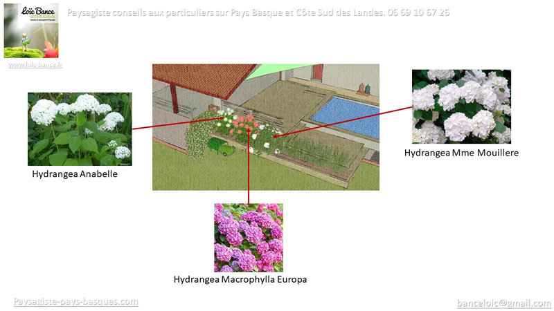 Paysagiste-Pays-Basque-Paysagiste-Mouguerre-Elisaberry-59