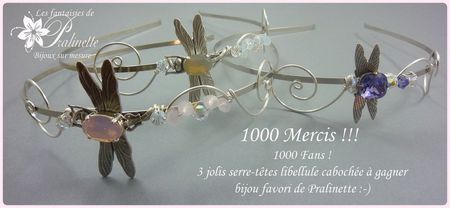 concours_pralinette_serre_t_te_libellule_cabochee_1000_fans