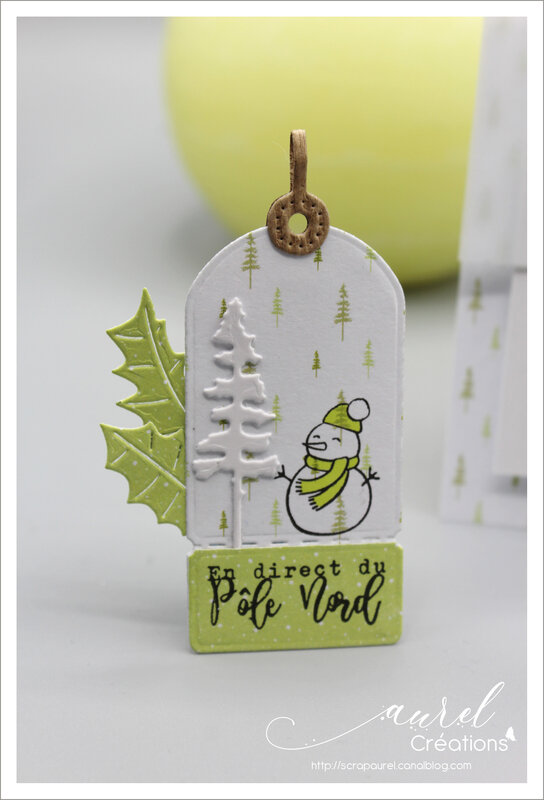 020120 - Super invitation à créer Noël 4 enscrap #7
