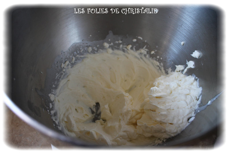 Petit bavarois abricots 1