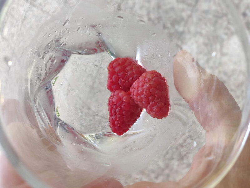 Les framboises après quelques jours dans la kombucha pour la 2ème fermentation