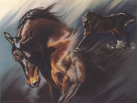 chevaux_032
