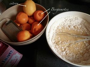 barre bretonne 4