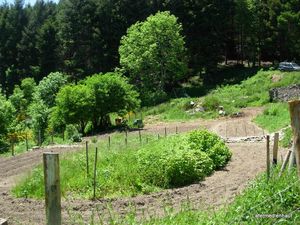 vue du jardin en venant du chemin