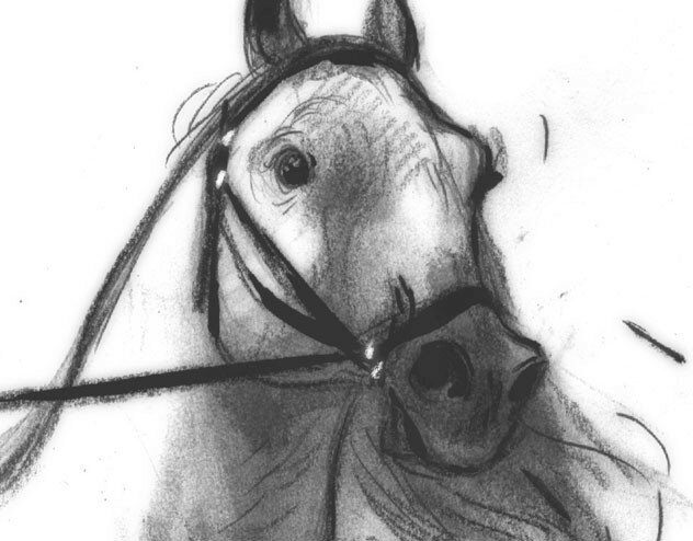 cheval2