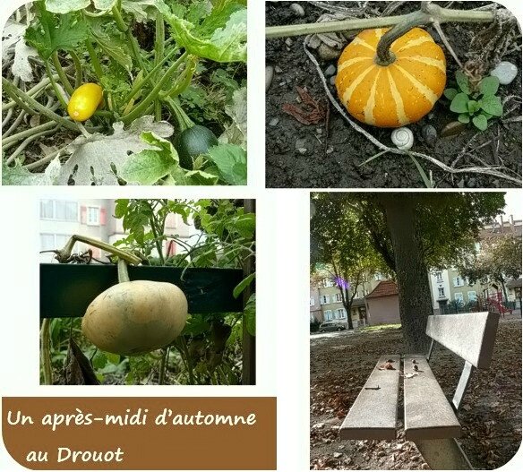 Quartier Drouot - Un après-midi d'automne