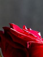 P1210042