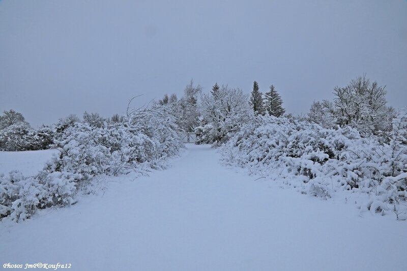 Photos JMP©Koufra 12 - Le Caylar - 01022018 - 017