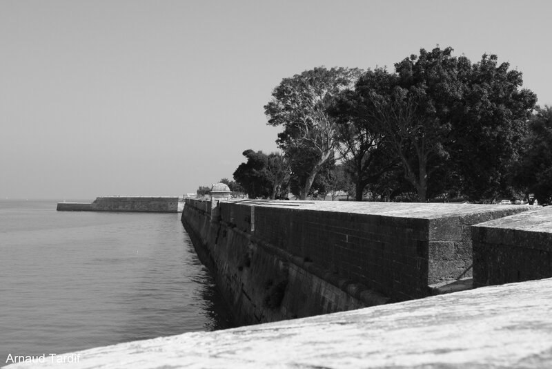 00892 Ile de Ré - St Martin de Ré blog