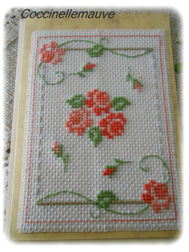 Coccinellemauve