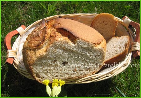 magazine Le levain fermentescible bio