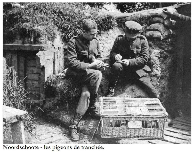 photos cap duchêne 1914 72