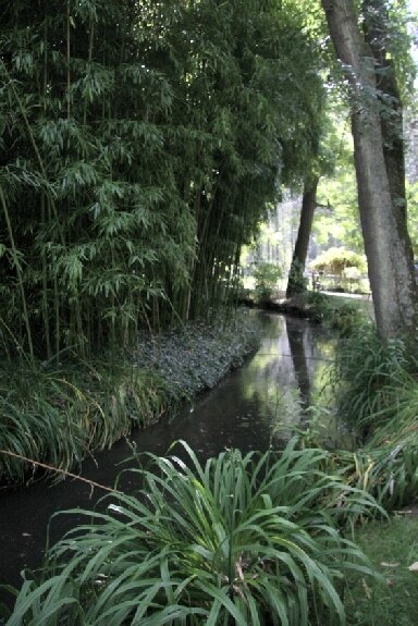 31-Jardin d'eau de Monet