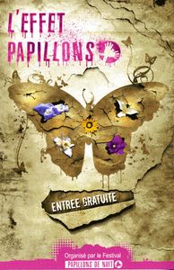 effet_papillon004