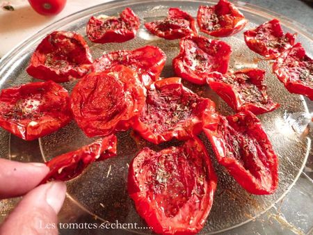 tomates sechees 1