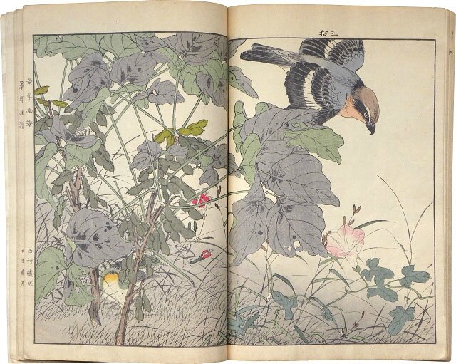 放送大学 割引 An Art: Japanese in Beauty Natural exhibition to devoted 版画