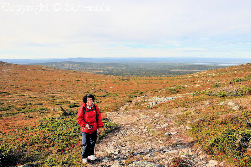 Palkaskero_Fell_Lapland_ (9)