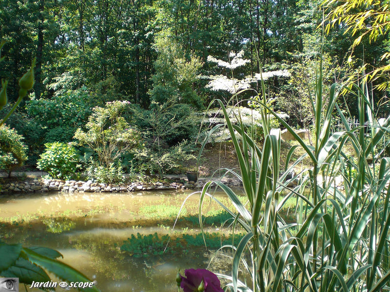 Un plan d'eau pour créer une biodiversité