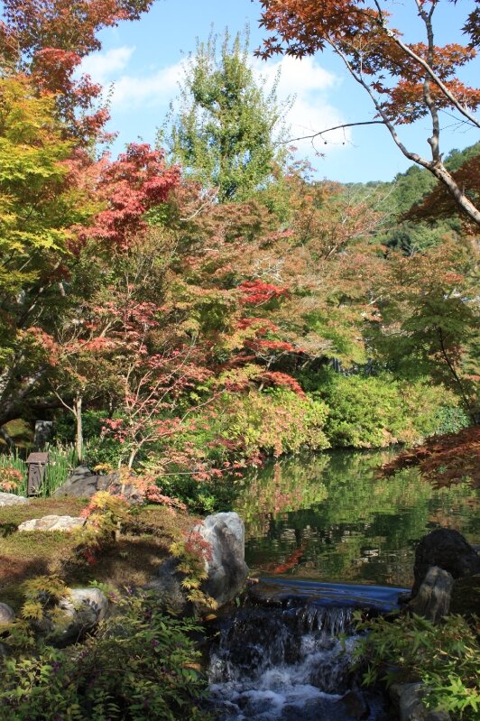 Jardin