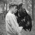 photographie par Walter <b>Jenkel</b>, 2020, Mediterranean Golden eagle 