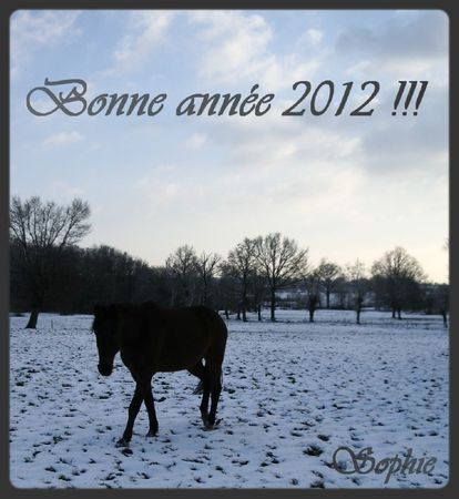 Bonne année 2012!!!