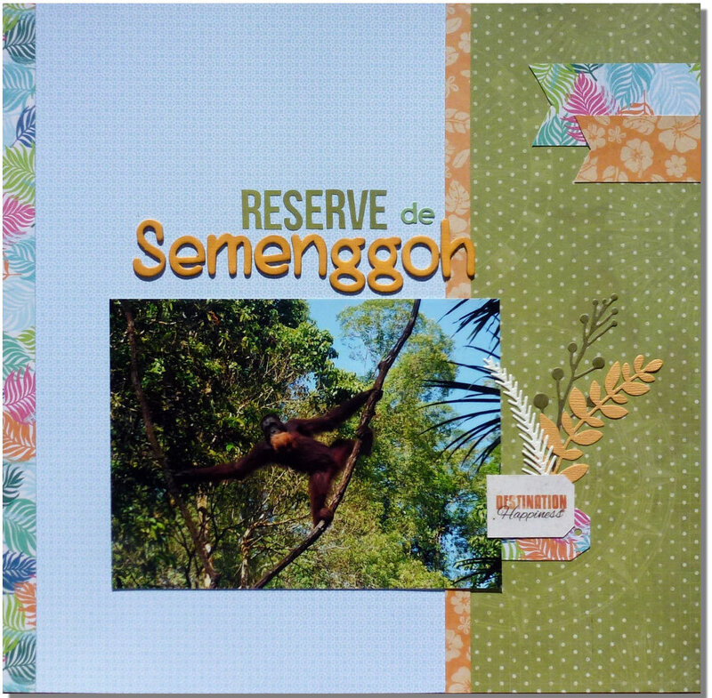 Reserve-Semenggoh1