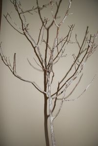DSC05447