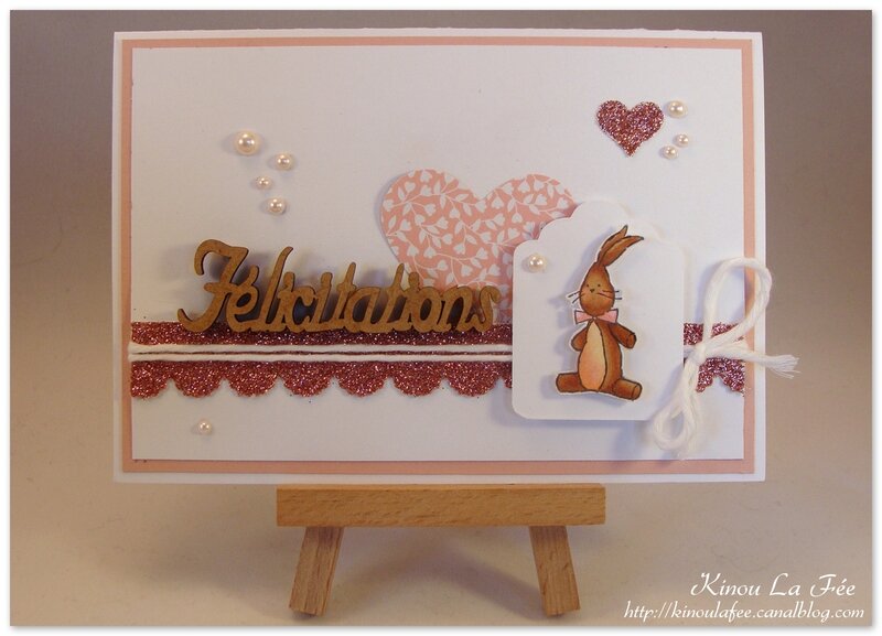 Carte Naissance Lapin Beau Petit Chou 1