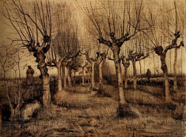 pollard-birches-1884