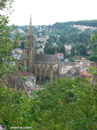 6714_Collegiale