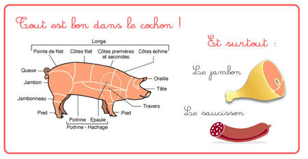 aliment_cochon