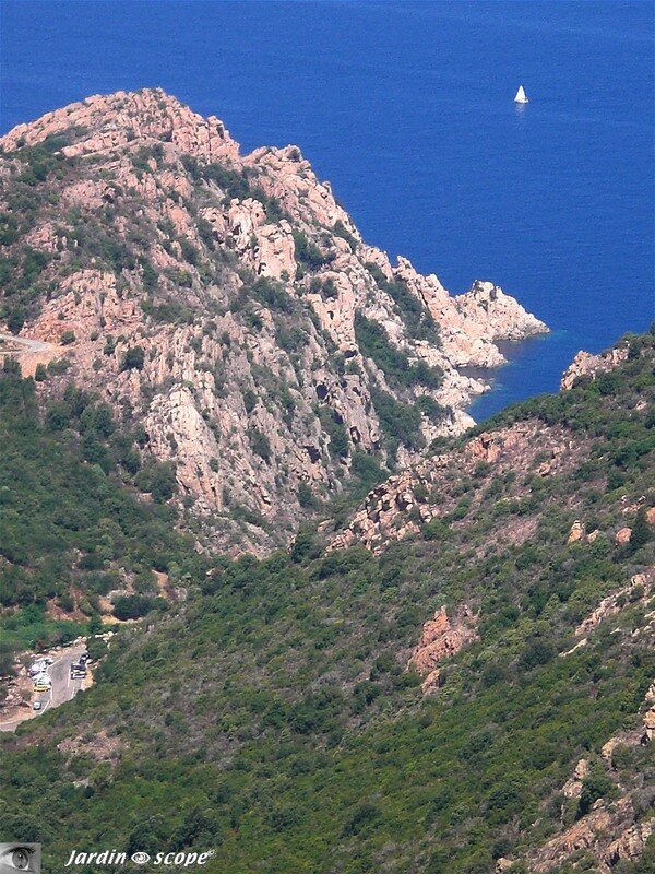 Calanche de piana - La montagne plonge dans la mer