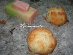 Cocottes___la_noix_de_coco_004