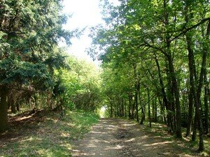 Chapelle_Saint_Bonnet__1_a