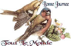 BonneJournee-ToutLeMonde