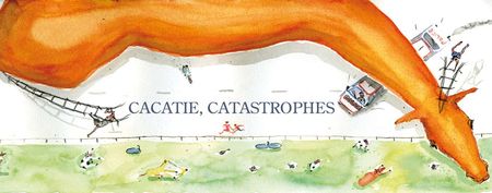 Cacatie_catastrophes