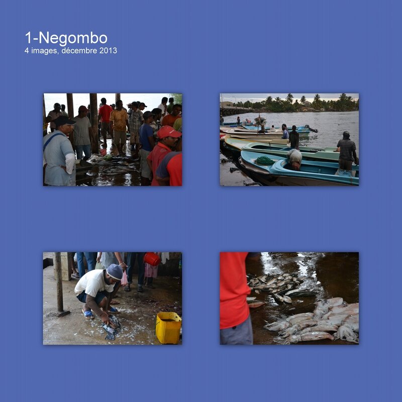 1-Negombo