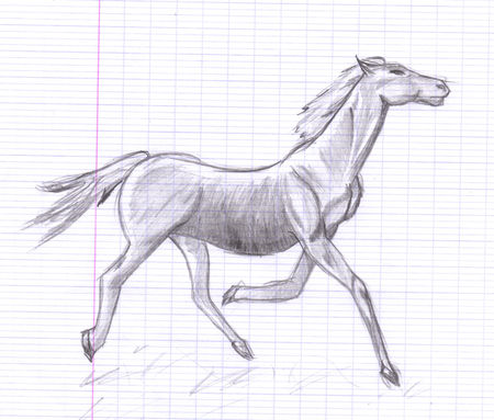 cheval_au_galop