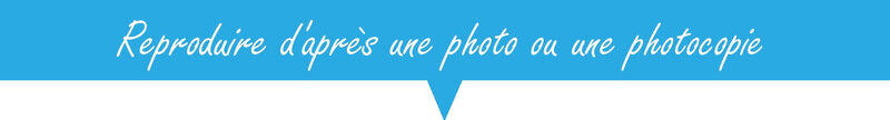 REPRODUIRE 2