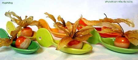 PHYSALIS_20