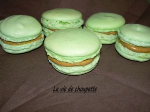 macarons_p_te_de_pistaches_002